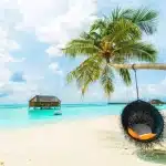 السياحة العائلية صيف 2025